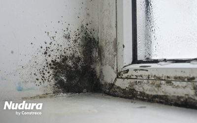 A Casa Que Não Deixa Entrar Bolor: Como o ICF Protege